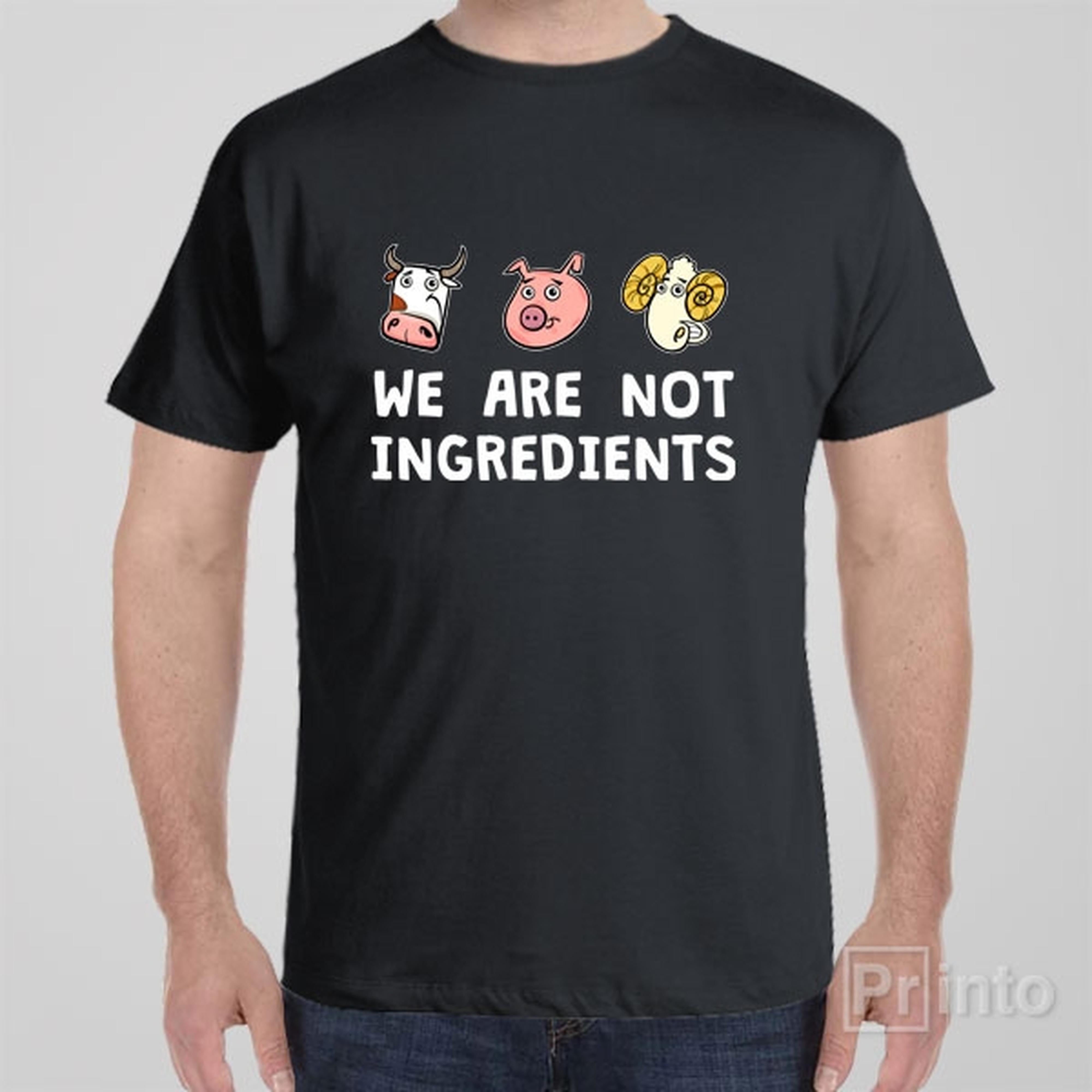 we-are-not-ingredients-t-shirt