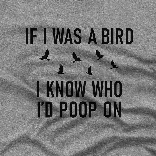 If I was a bird - T-shirt