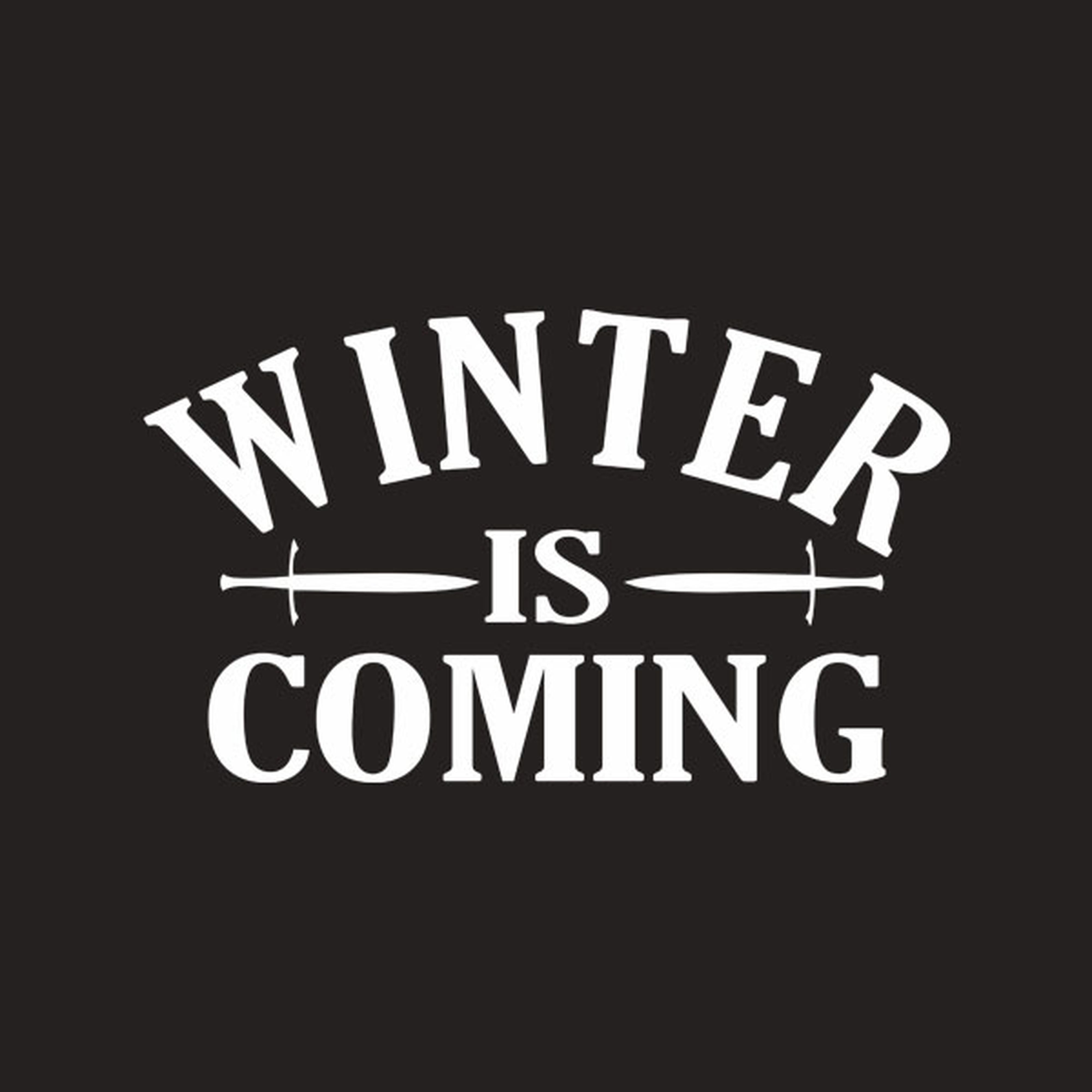 Winter is coming - T-shirt