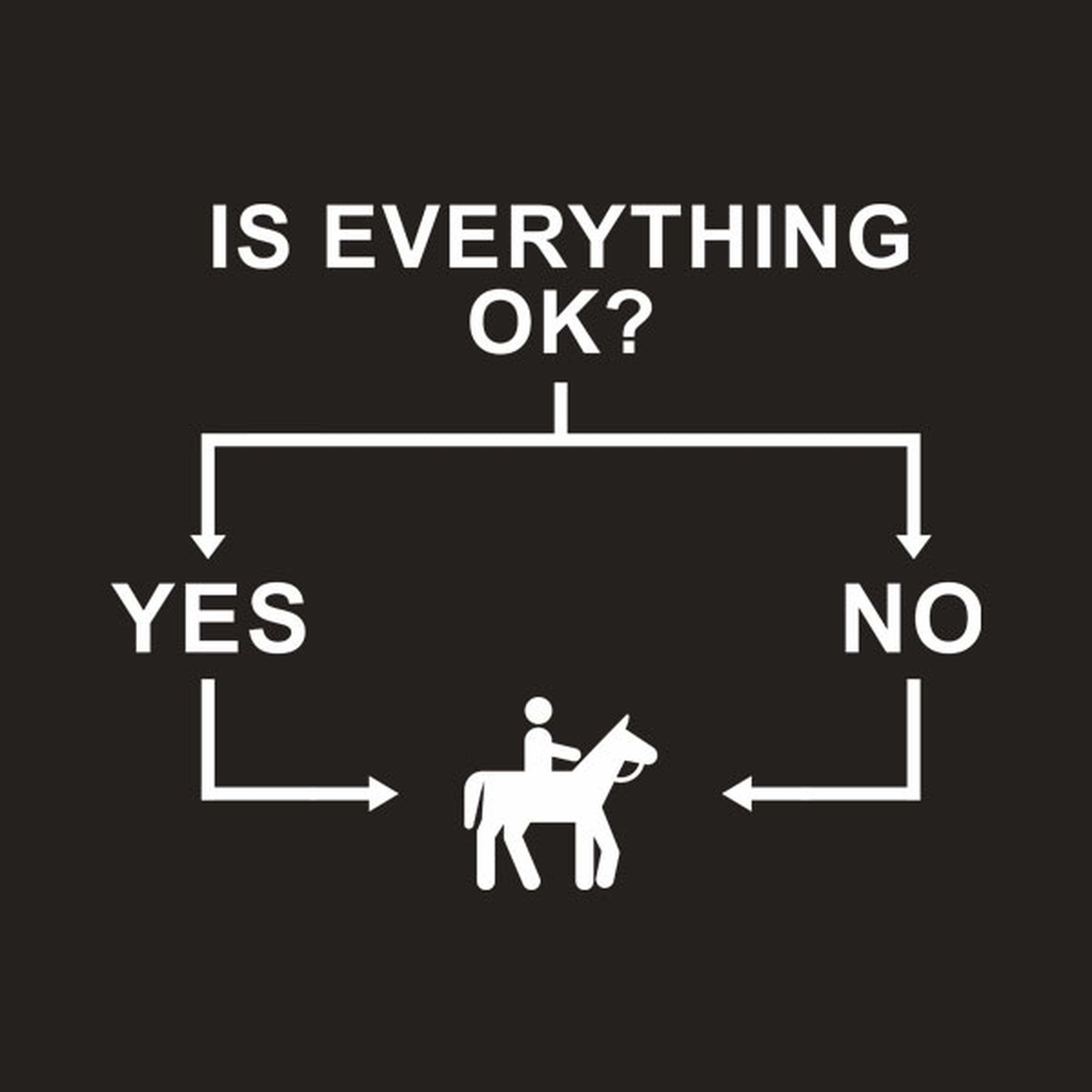 Flowchart (Horse Riding) - T-shirt