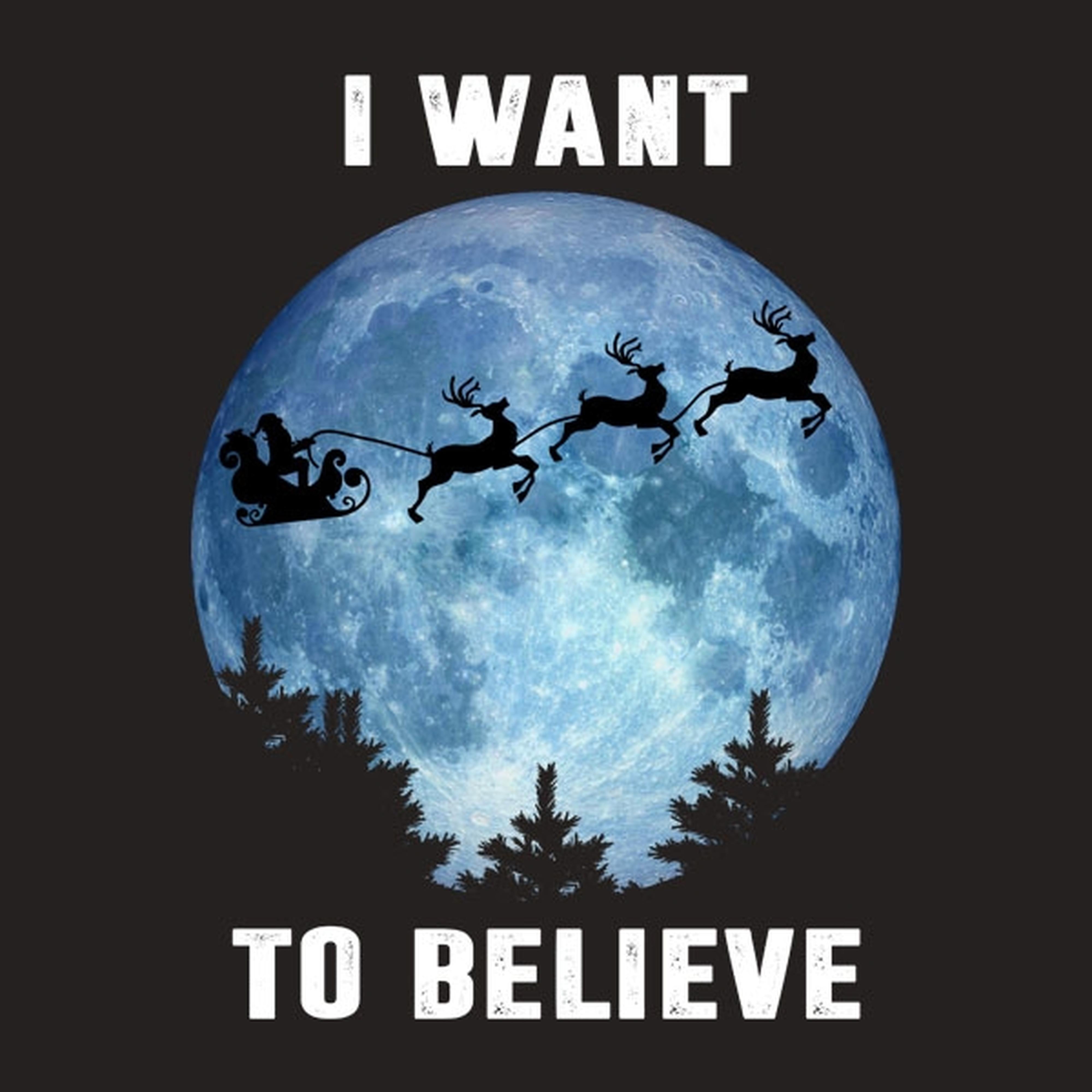 I want to believe in Santa - T-shirt