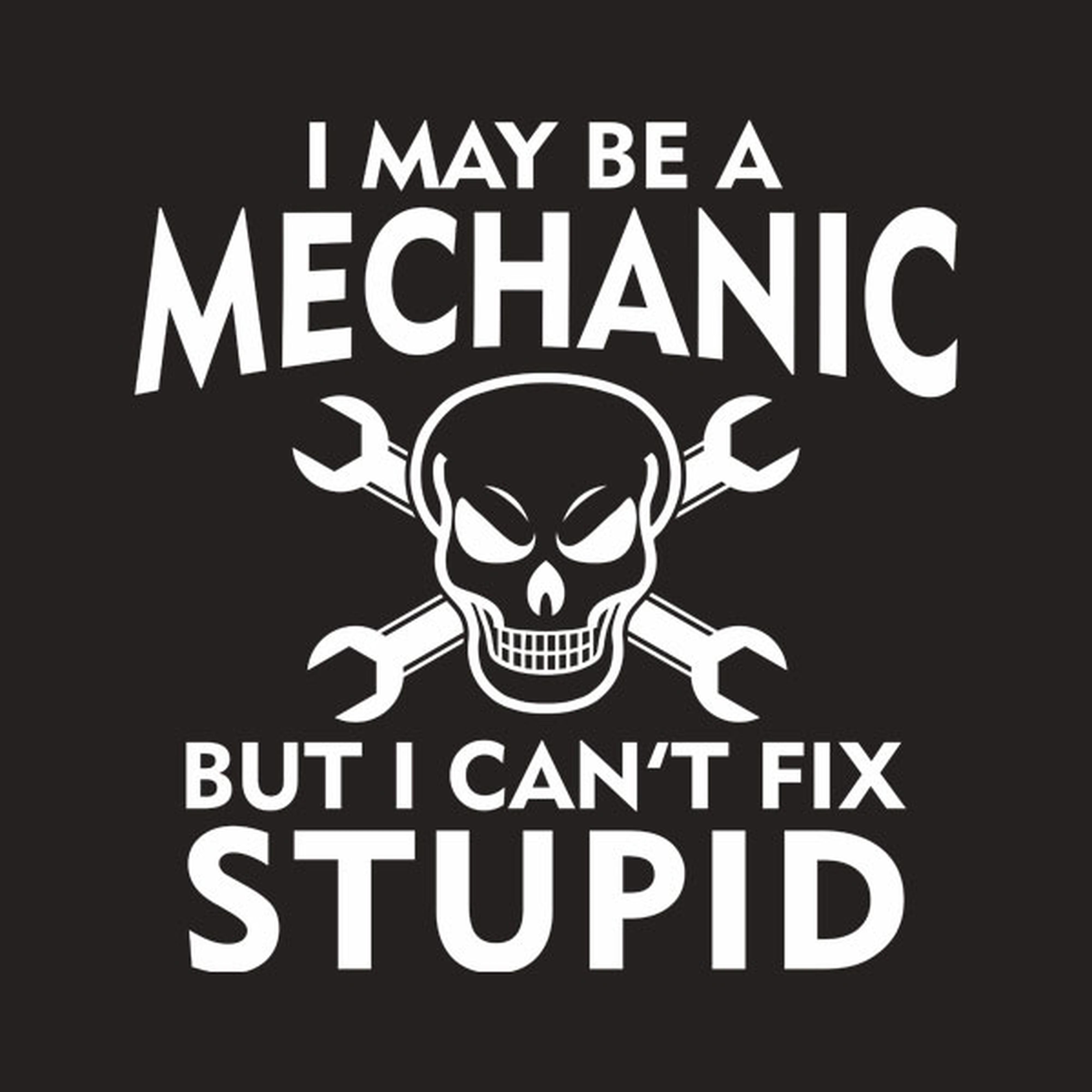 I may be a mechanic but I can't fix stupid - T-shirt