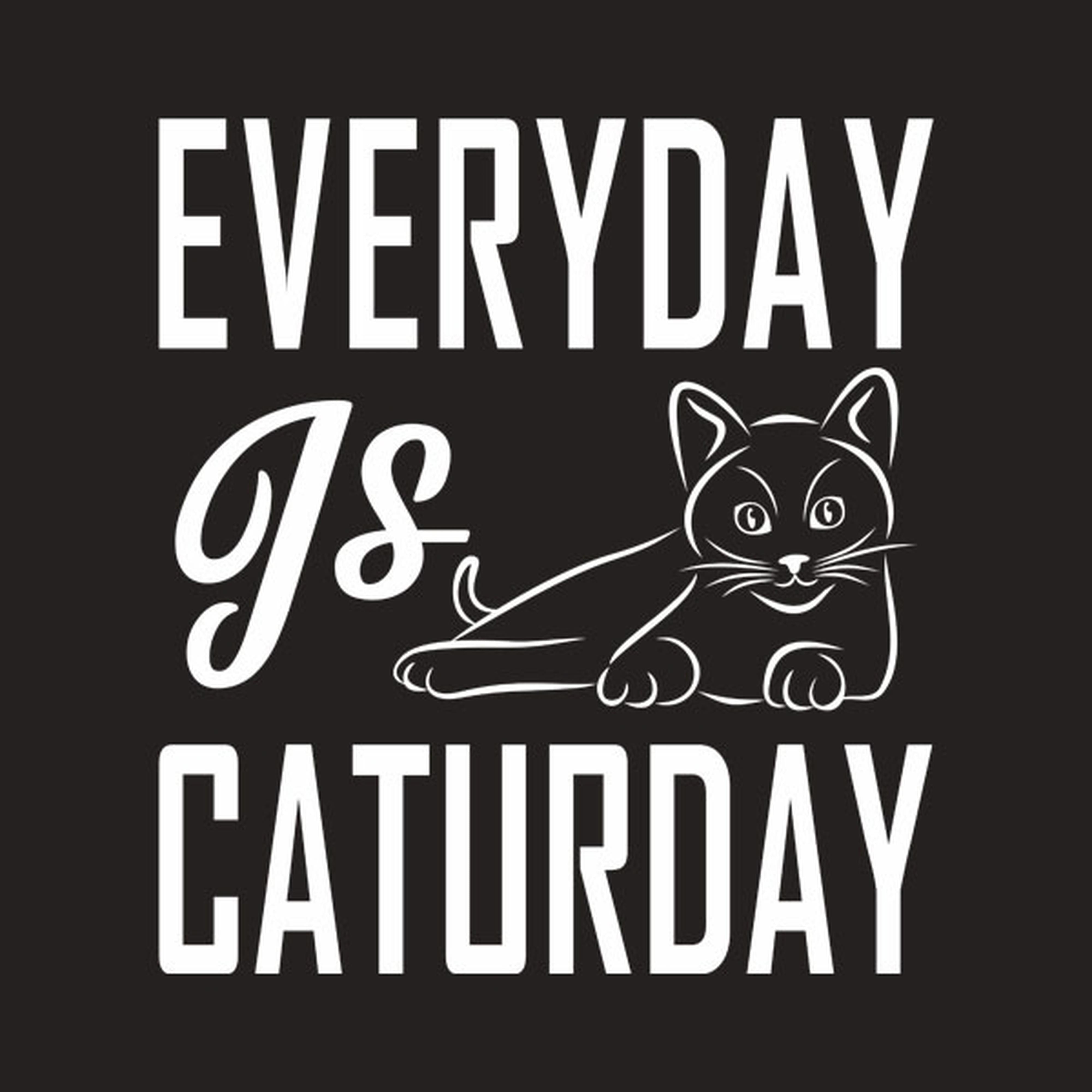 Everyday is Caturday - T-shirt