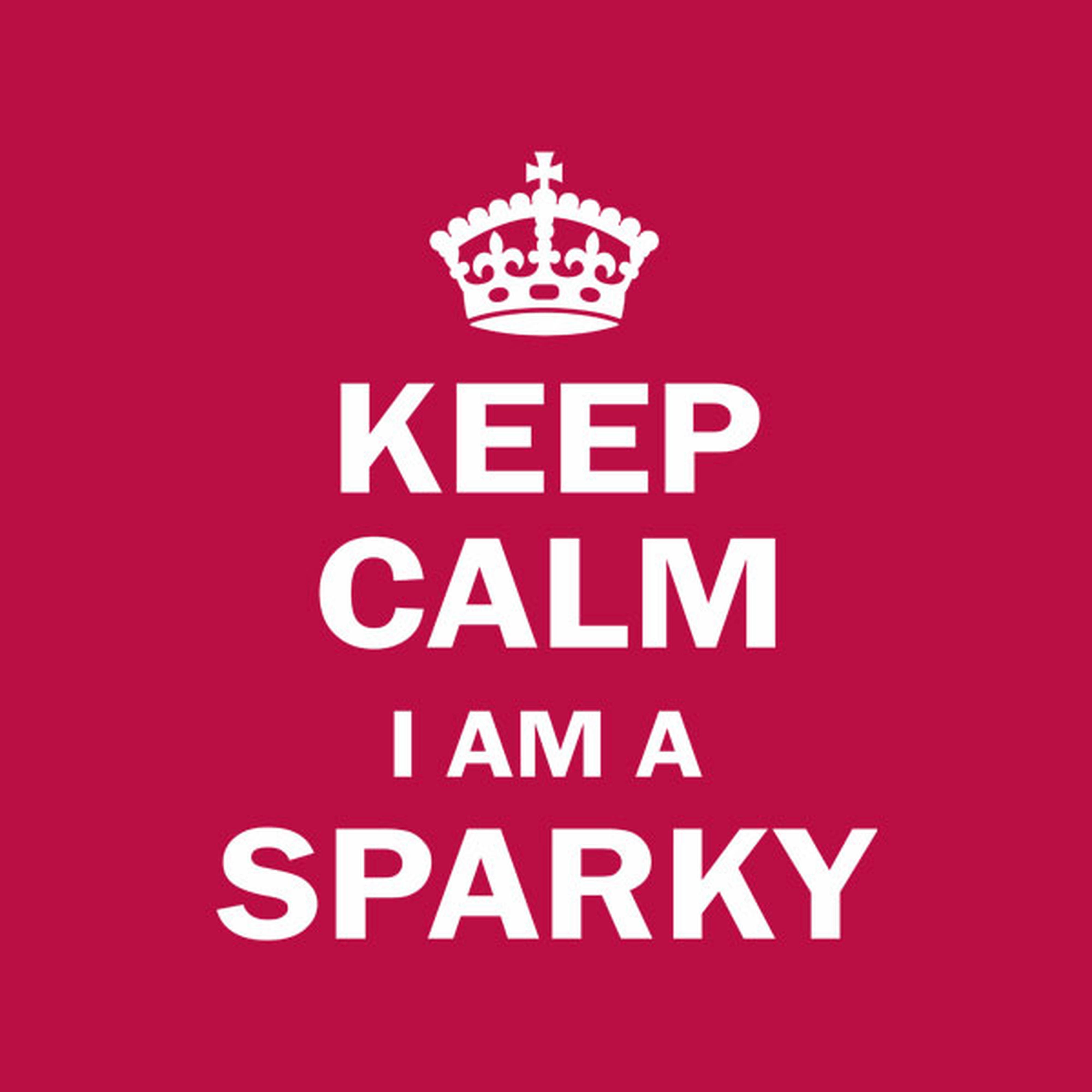 Keep calm. I am a sparky - T-shirt