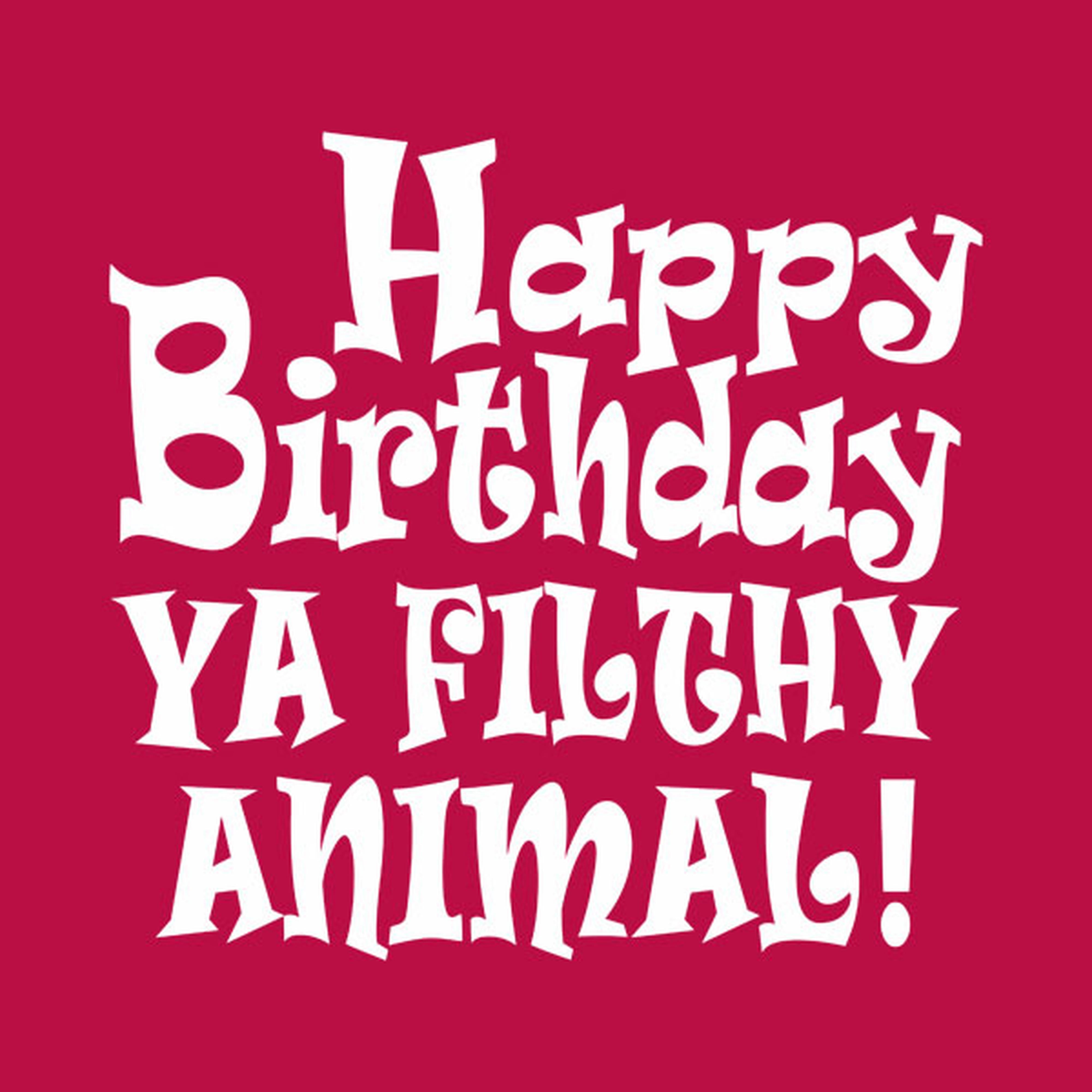 Happy birthday you filthy animal - T-shirt