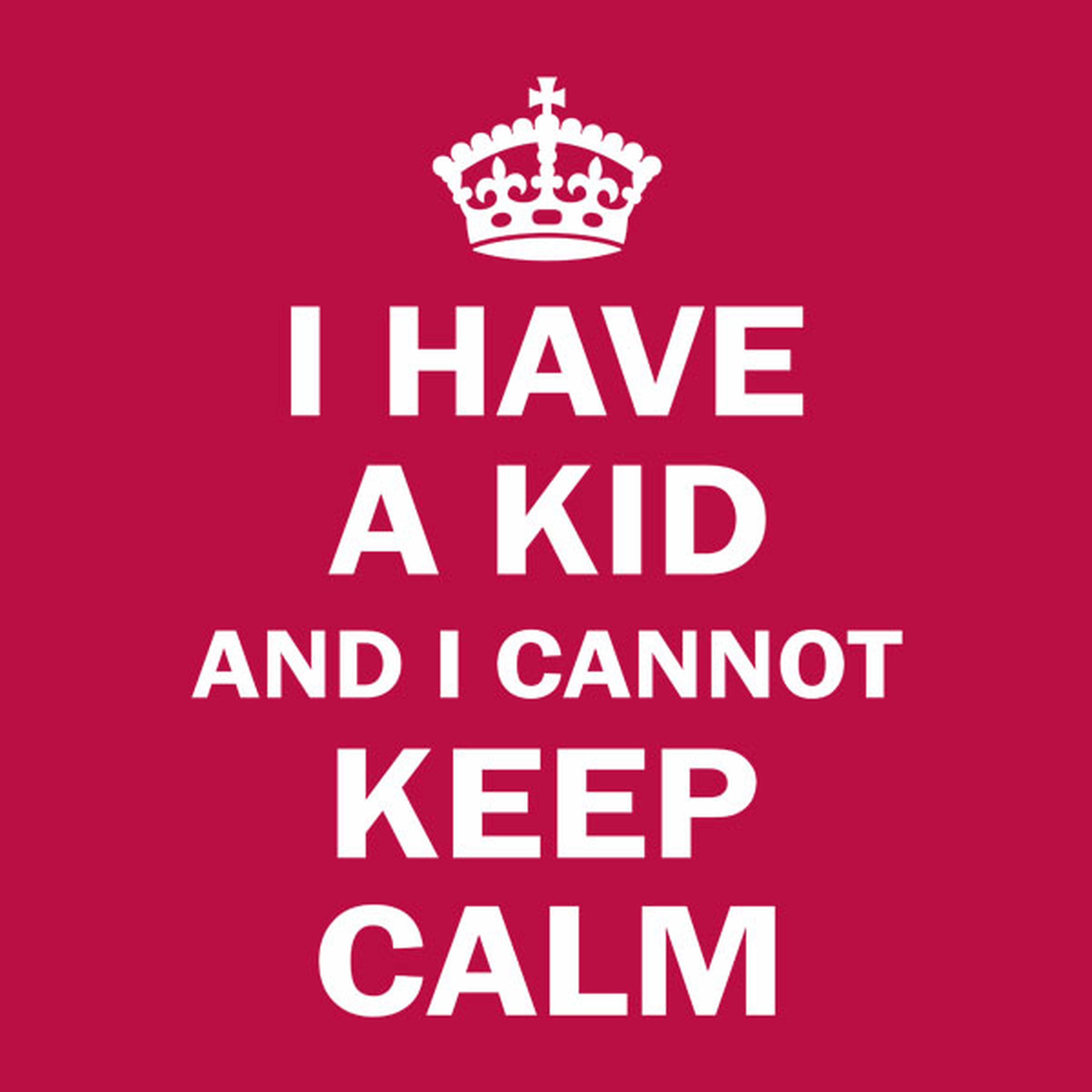 I have a kid and I cannot keep calm - T-shirt