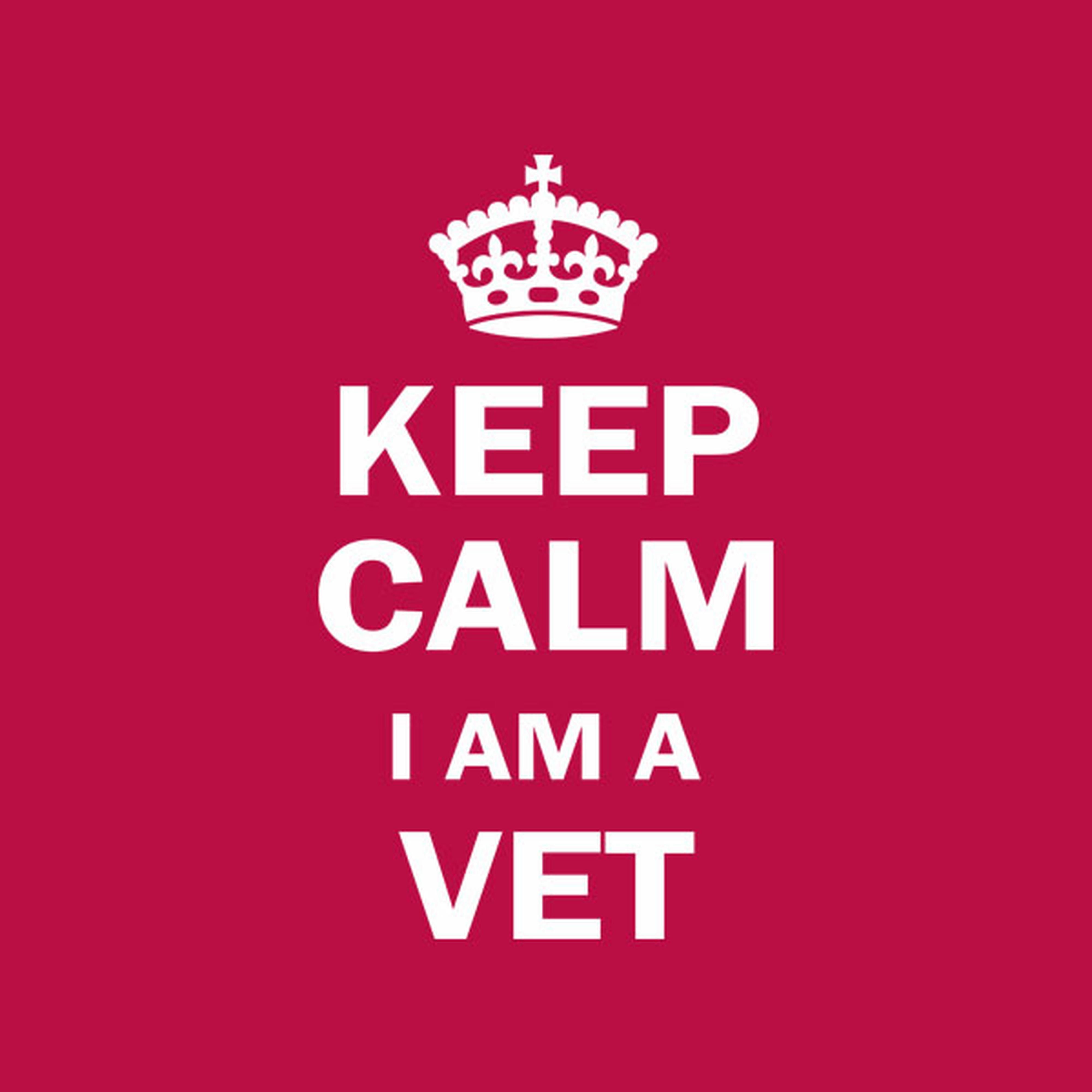 Keep calm I am a Vet - T-shirt