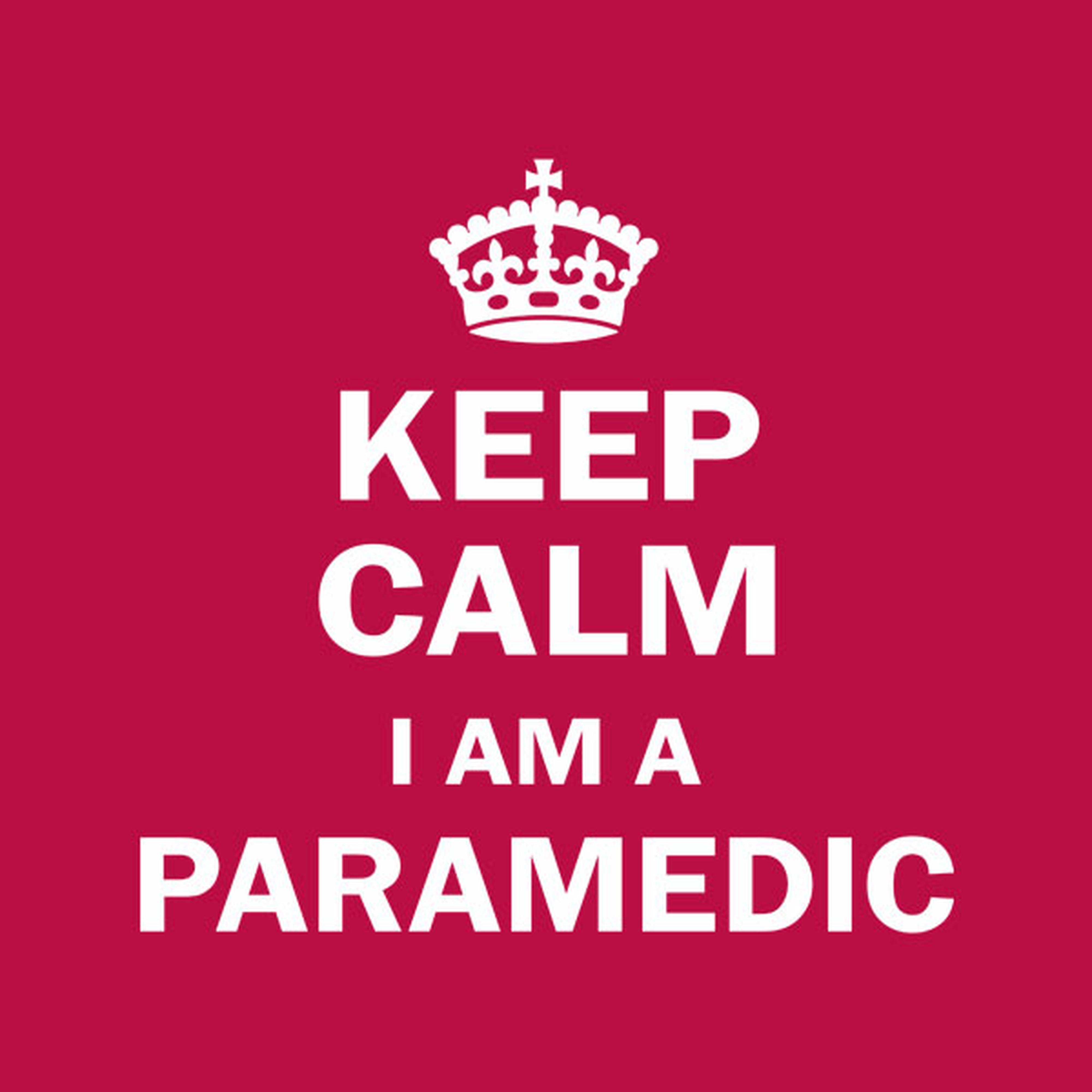 Keep calm I am a paramedic - T-shirt