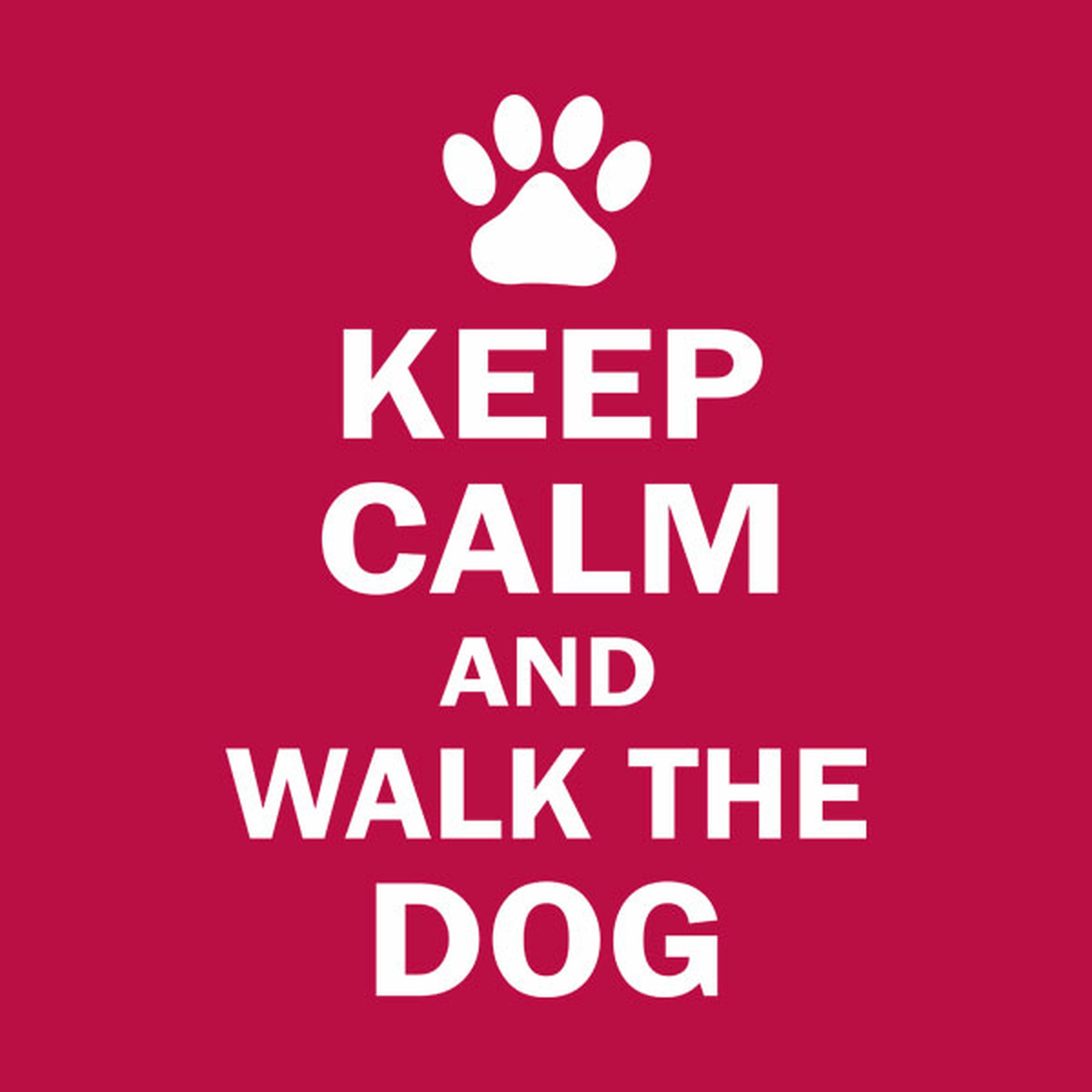 Keep calm and walk the dog - T-shirt