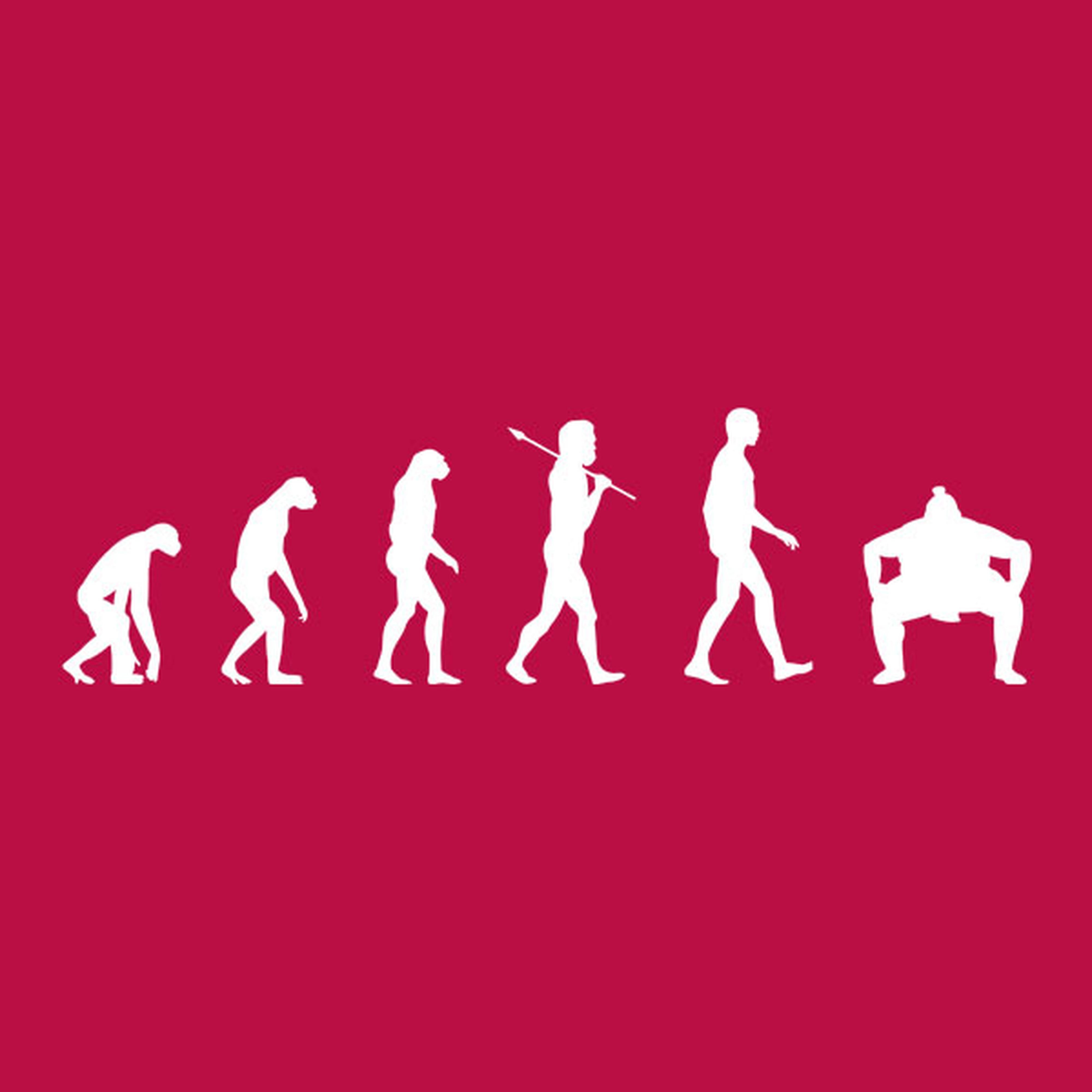 Evolution of Sumo T-shirt