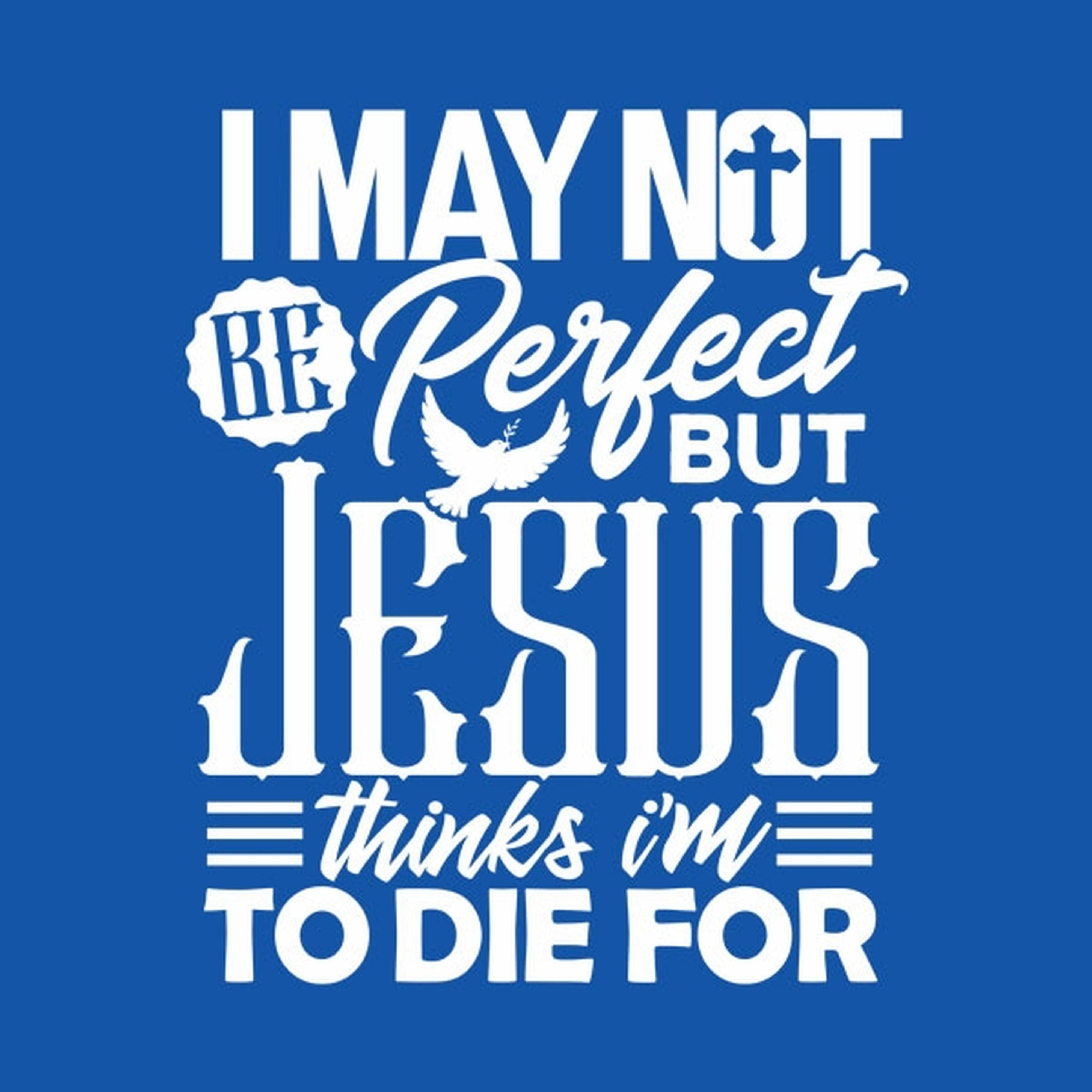 I may not be perfect - T-shirt