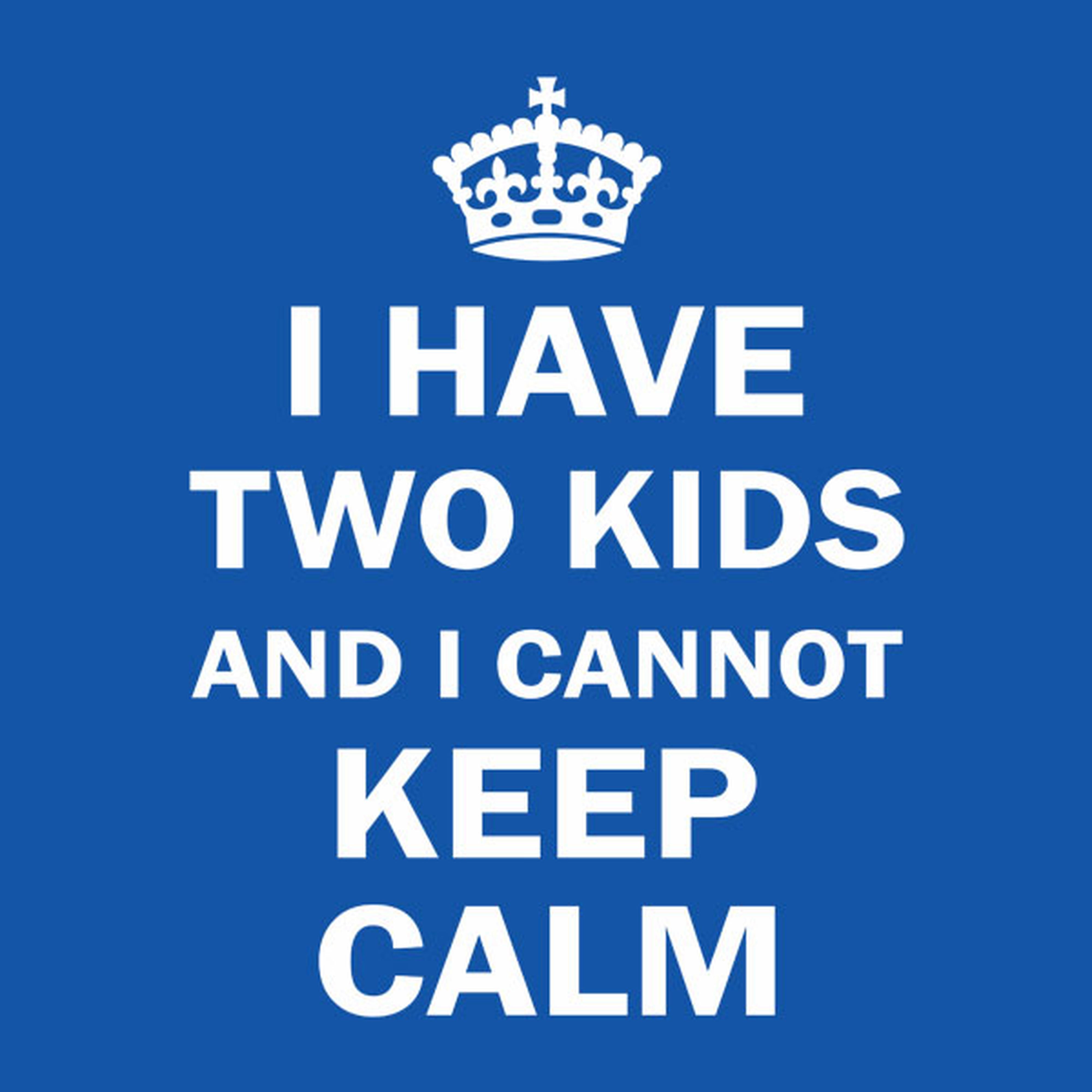 I have 2 kids and I cannot keep calm - T-shirt
