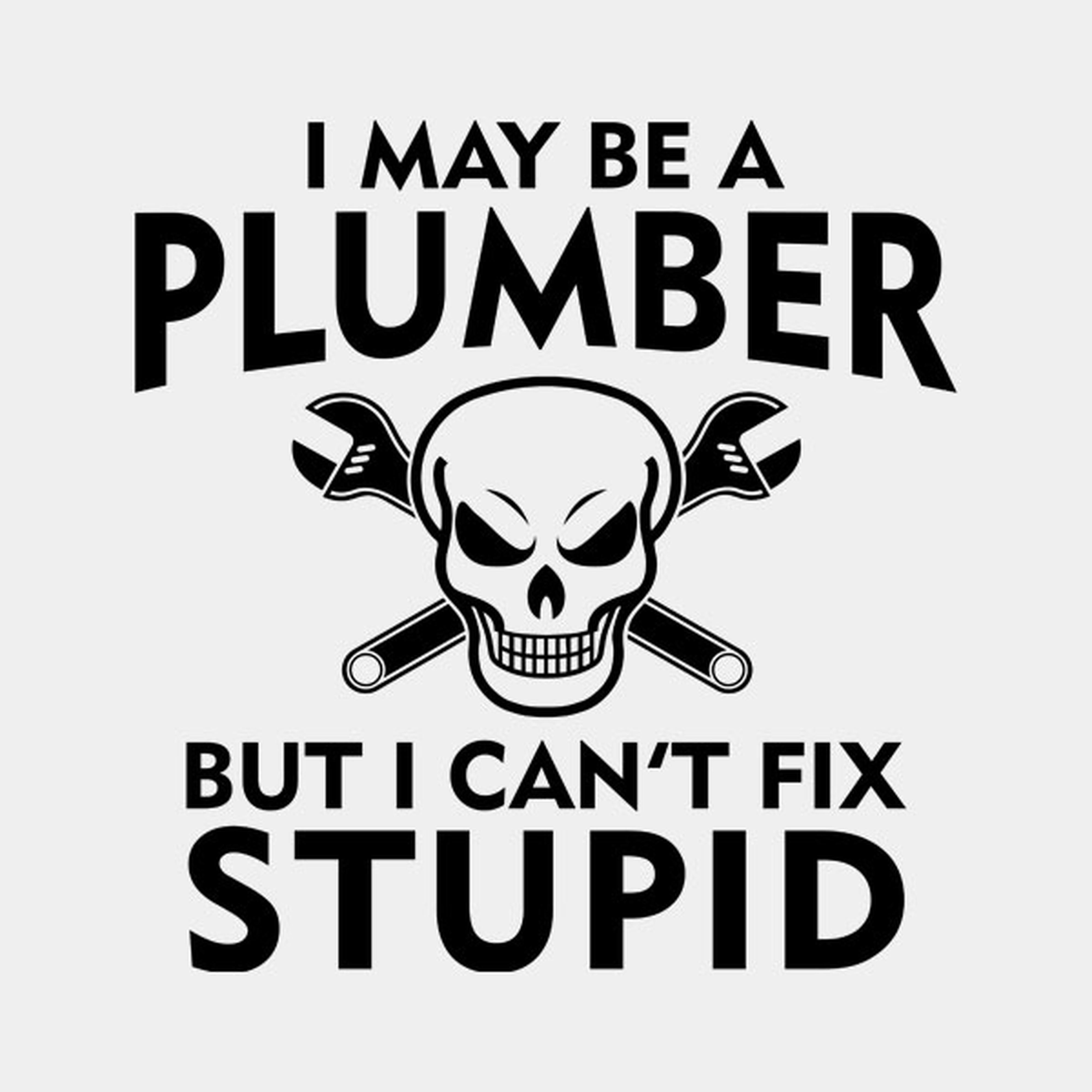 I may be a plumber but I can't fix stupid - T-shirt