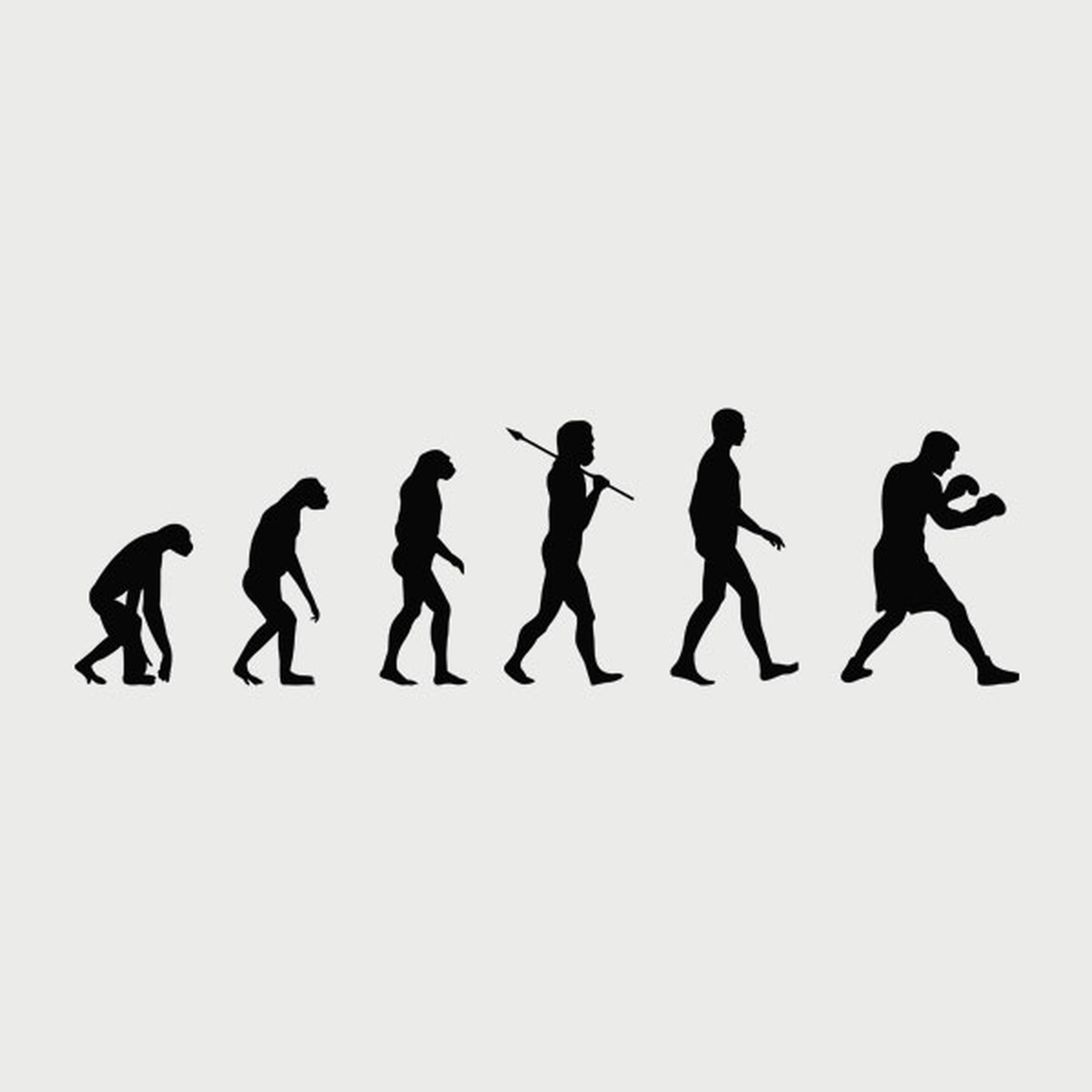 Evolution of Boxing T-shirt