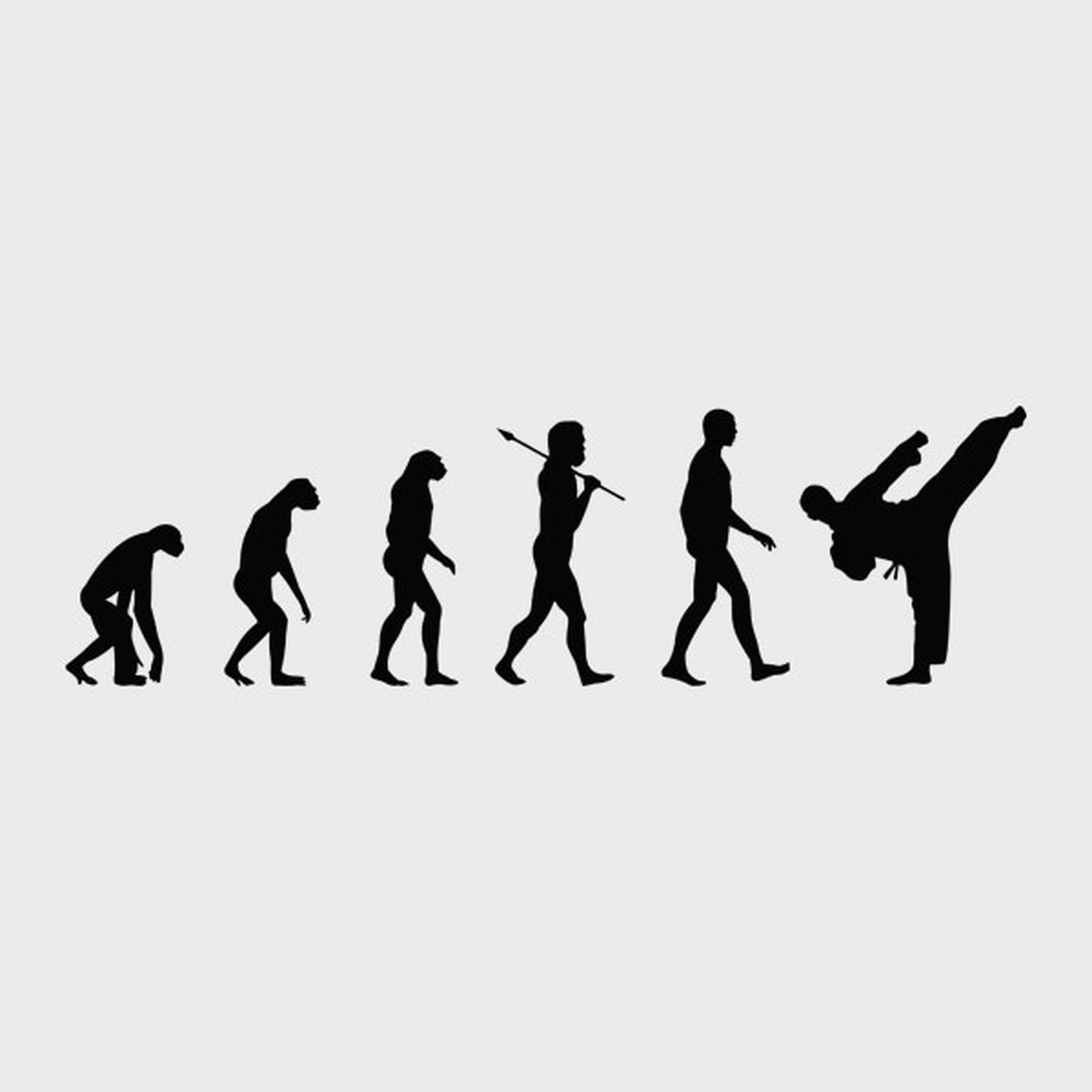 Evolution of Karate T-shirt