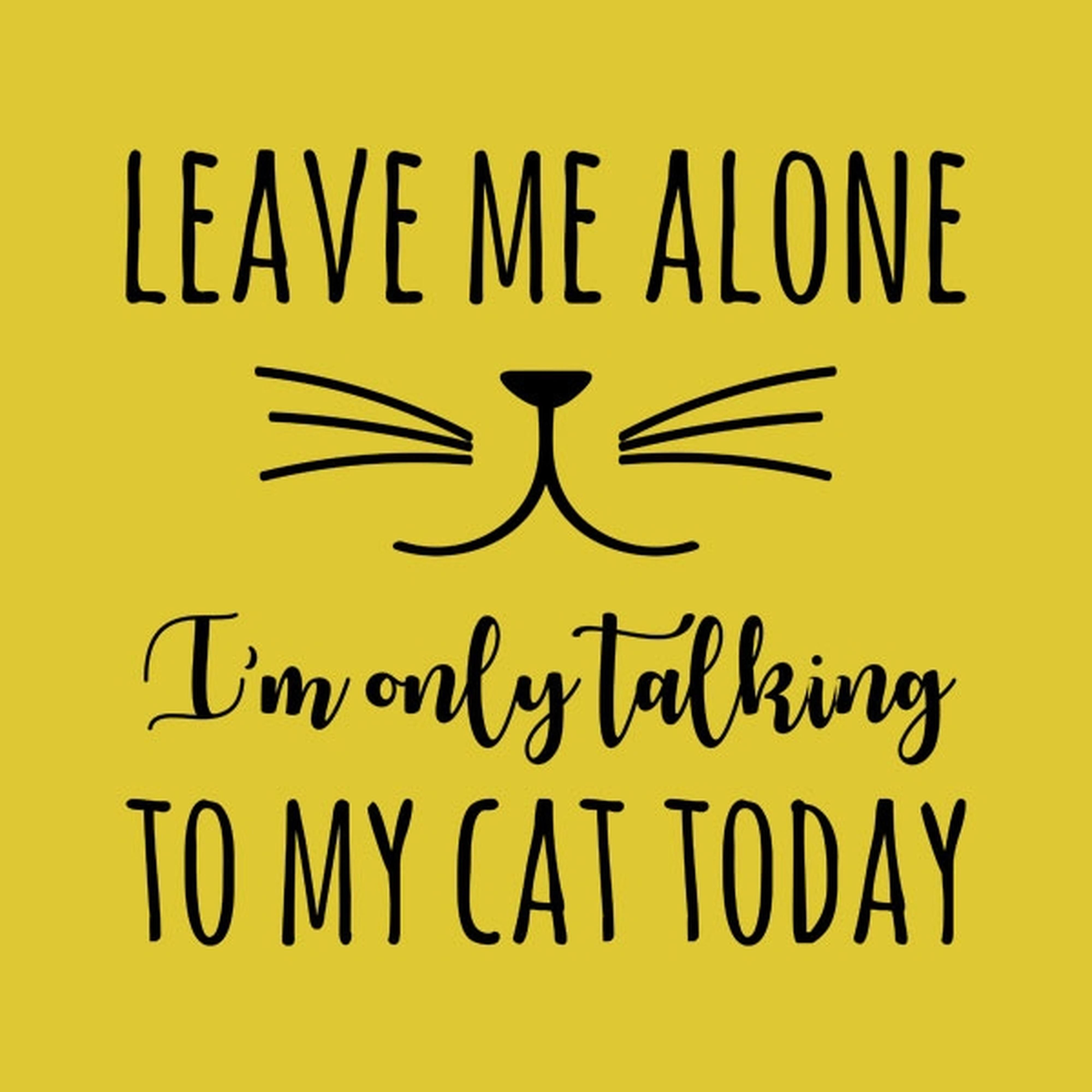 Leave me alone, I'm only talking to my cat - T-shirt