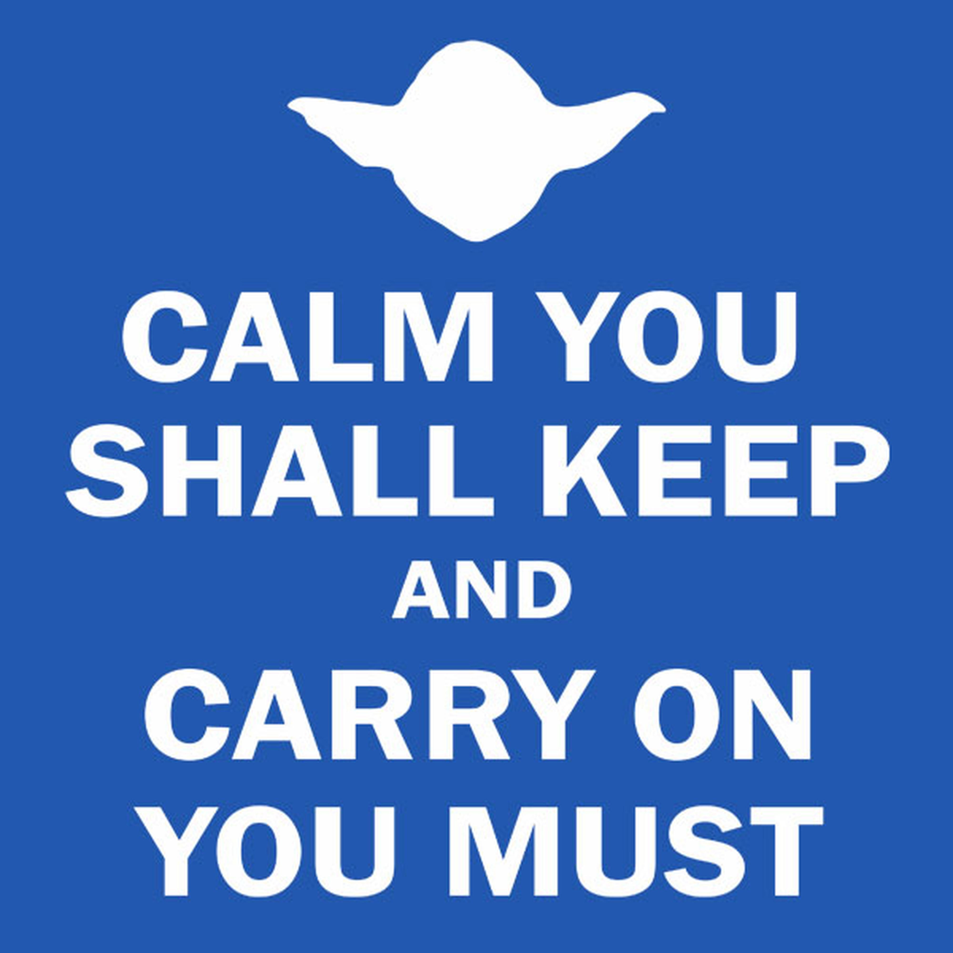 Calm you shall keep and carry on you must - T-shirt